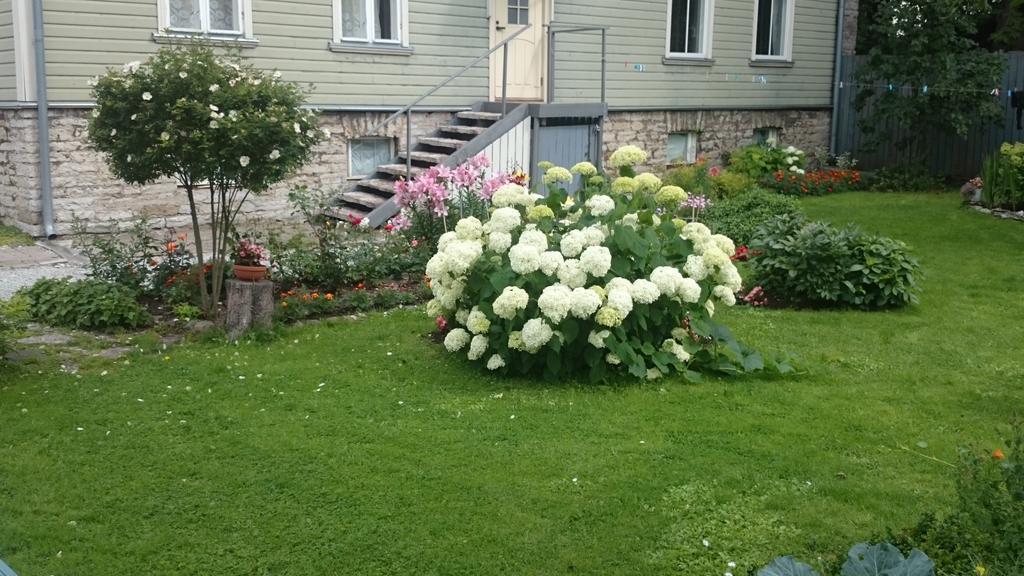Matrix Garden Apartments Tallin Pokój zdjęcie